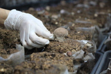 무농약 표고버섯, 200미터 아래 지하수로 키워요