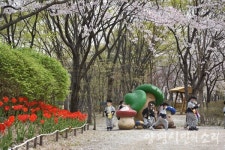 버려질 나무들로 만든 주민들의 안식처 나무고아원