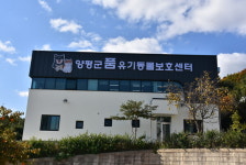 유기동물보호센터 품 준공식... 양평군 유기동물 한해 약 550마리