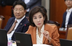 나경원, 