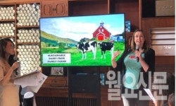 벤앤제리스 논산점 | [현장] 벤앤제리스 국내 상륙…빙과시장 '도전장'