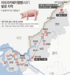 방역 뚫렸나... 아프리카돼지열병(ASF) 연천서 14번째 확진