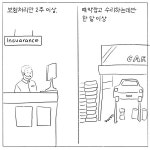 뉴질에서 차수리