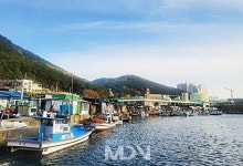 [여행 스케치] 부산 꼼장어 제대로 만끽하려면 섭자리마을로 GO