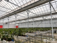 [현장] 한여름에 먹는 딸기…서산 스마트팜이 이끌 사계절 농장