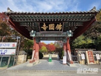 [여행스케치] 천년의 시간 위를 걷는 하루, 경주 한 바퀴