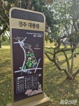 [여행스케치] 천년의 시간 위를 걷는 하루, 경주 한 바퀴