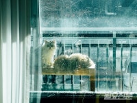 [오늘 날씨 12/30] 두 발 동동 구르게 하는 날씨지만 전국 맑음