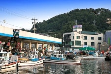 삼척 인드라망펜션, 장호항 인근 추천 여행 코스 소개 