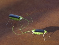 SREC, 한국 넘어 베트남까지 태양광 에너지 사업 진출…블록체인 시스템 도입