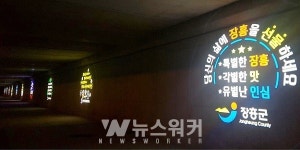 장흥군, 장흥대로 탐진강변 빛 홍보조명 설치