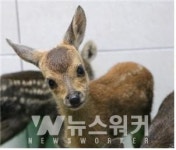 광주야생동물구조관리센터 운영 성과 톡톡