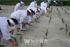 함평군 엄다면,  남도노동요 시연행사 개최