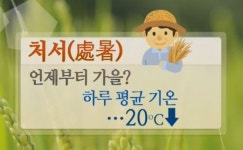 2019년 처서 뜻?..