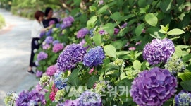 함평 양서파충류생태공원, 함평자연생태공원으로 통합 운영된다