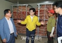 강진군, 마늘 쪽분리 자동화시스템... 좋은 성과