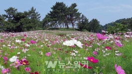 전남도, 2020년 가고 싶은 섬 9곳 신청