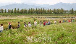 구례군, 코스모스꽃길(꽃강) 군민 건강 걷기 행사 개최