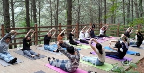 화순군, 만연산 치유의 숲에서 힐링하세요