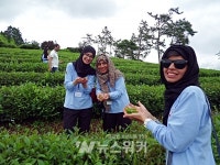 보성군, 해외농업관계자 초청... 농업기술 연수 추진