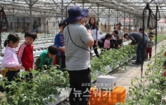 전남농기원, 농촌교육농장 17개소 품질인증 획득