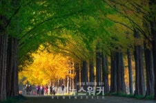담양군, 담양관광 사진공모전 참여하세요