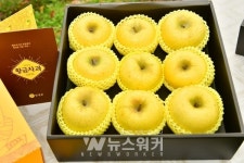 장성군, 18일 첫 수확 황금사과 육성사업 현장평가회 개최