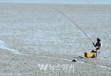 [포토] 강진군, 짱뚱어 도사의 낚시질