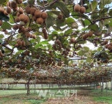 진도군, 소비자와 함께하는 팜파티... 25일 개최