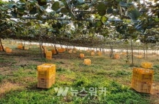 진도군, 소비자와 함께하는 팜파티... 25일 개최