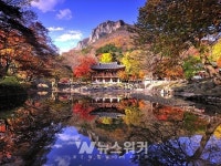 전남도... 보성 제암산 자연휴양림, 장성 백양사 관광지 선정