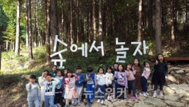 고흥군, 팔영산 편백치유의 숲에서...유아 숲 교육 실시