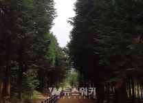 2020 고흥 방문의 해 지정・운영