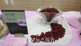 진도 미니단호박·구기자, 원예작물 품질평가... 최우수상과 특별상 수상