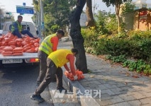 여수시, 2019 겨울철 도로 제설대책 추진