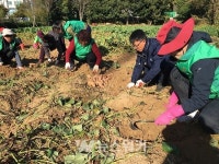 여수시 여천동 새마을협의회, 고구마 나눔 훈훈