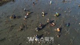 강진군 병영면, 가래치기 행사 개최
