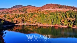 [포토] 가을 산책은 여기서… 여수 봉화산 산림욕장