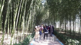 구례군, 새해부터 구례의 길 완주 인증제시행