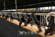 순천시, 전남도 녹색축산 시책 종합평가 우수상 수상