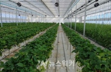 무안군, 청년농업인 스마트팜 영농실습장 운영