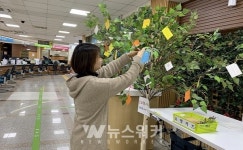 화순군, 군청 행복민원실서 소망지 달기 이벤트 추진