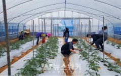 담양군 농업기술센터, 귀농·귀촌인 영농정착교육생 모집