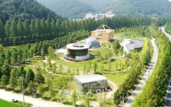 담양군, 메타세쿼이아랜드 입장료 반환 청구소송 항소심 승소