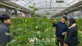 강진군, 사랑하는 사람에게청자골 장미꽃을 !