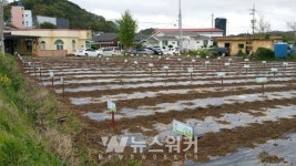 목포시, 2020 전원마을 삼향동 주말농장 참가자 모집