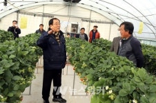 김준성 영광군수, 농업현장 방문 농업인 격려