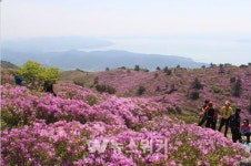 전남도, 대규모 숲 조성 블루 이코노미 선도