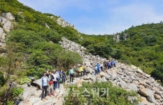 해남 달마고도, 남도 대표 걷기여행길로우뚝