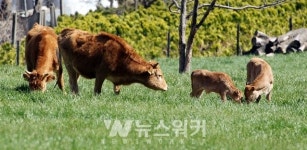 함평군 함평천지한우 산업특구 2년 연장